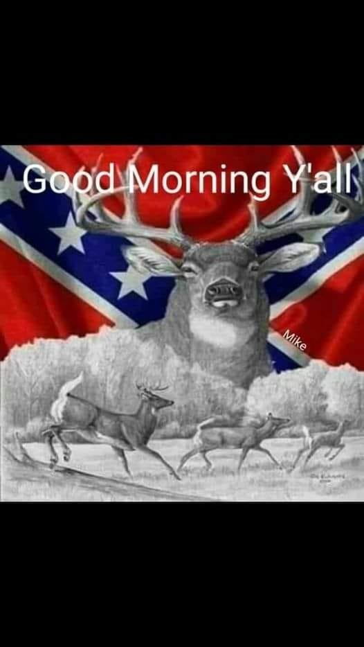 Good morning you fellow Rebels it's time to pull up your socks and grab your cocks and get this day rollin
