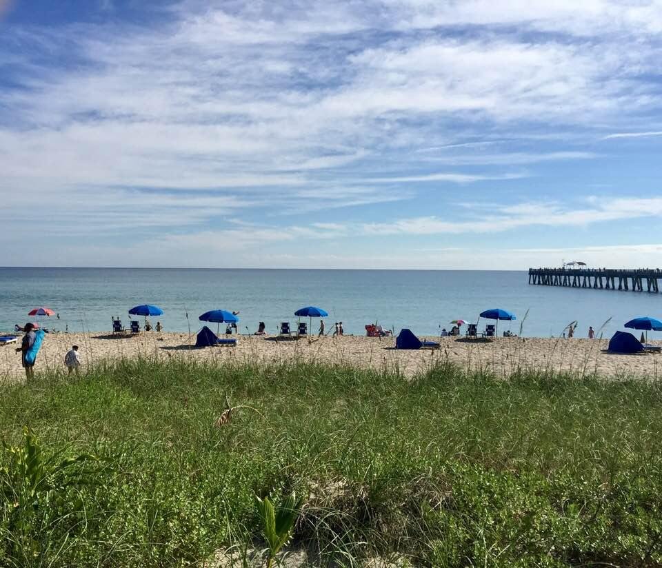 An idyllic Florida Christmas Day!