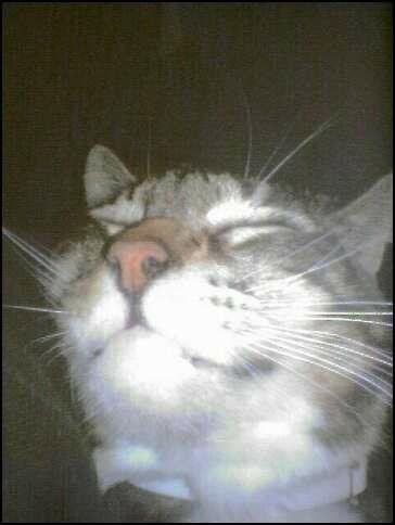 $0/$75
I had an unexpected medical expense & am now low on funds for basic pet needs & short for other bills.
Trying to avoid more bank charges.
(I had a severe panic attack & was at the hospital for 8 hours, in burie