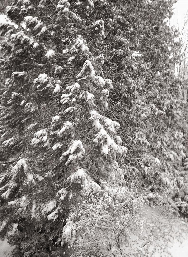 Snow