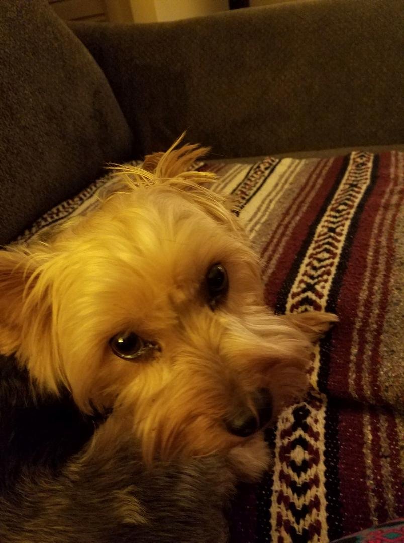 Our little Bear