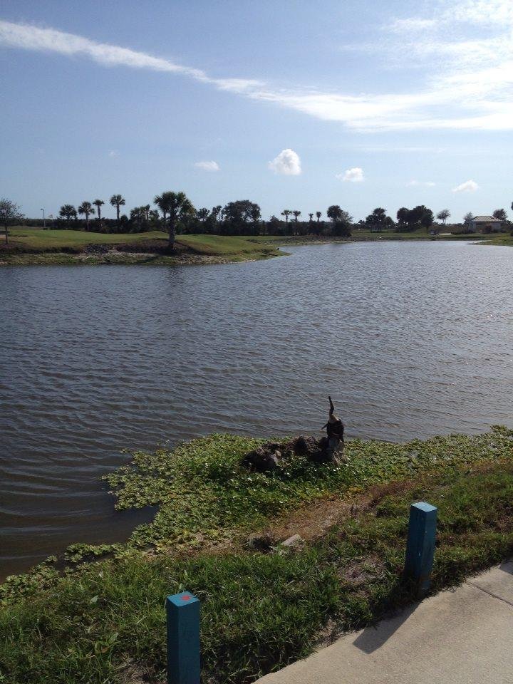 82 degrees in Naples Fl. Eat your heart out Des Moinians