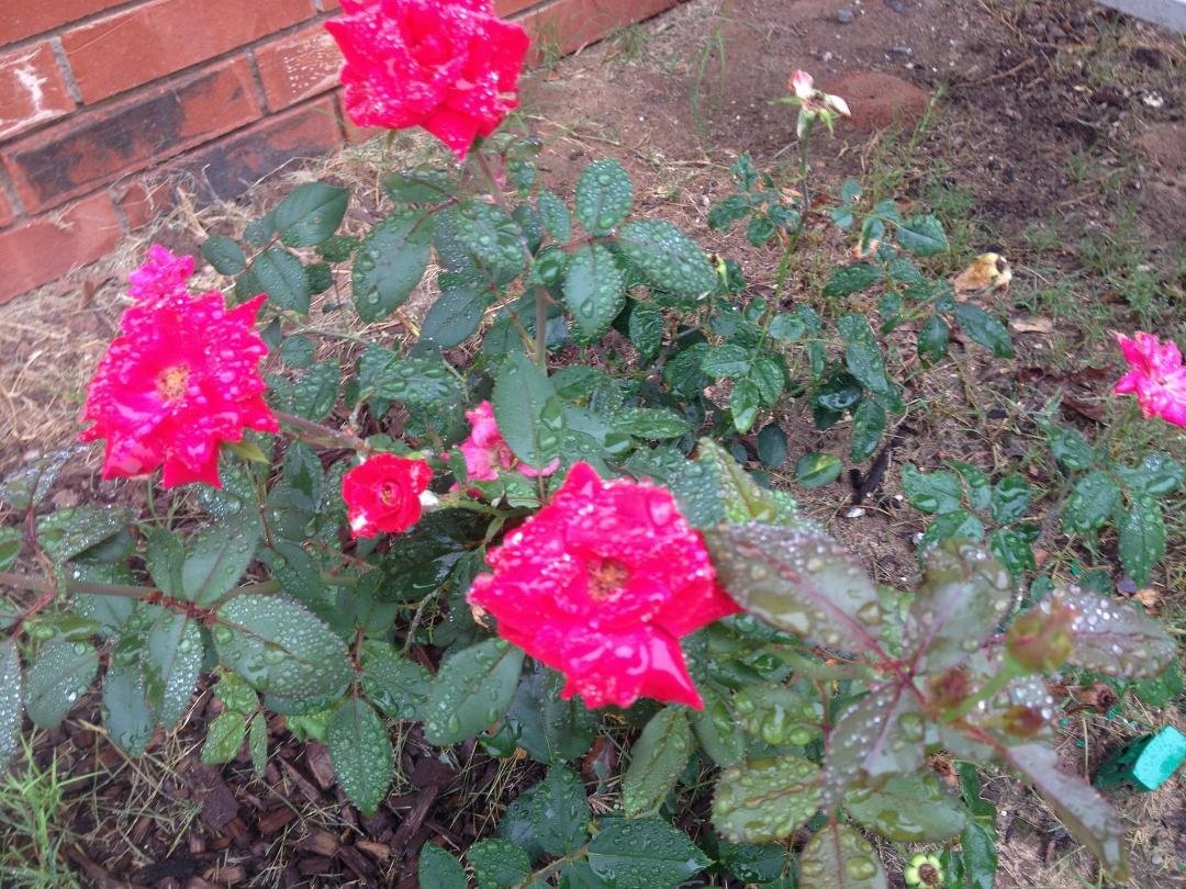 Cindy Smith's album, Timeline Photos