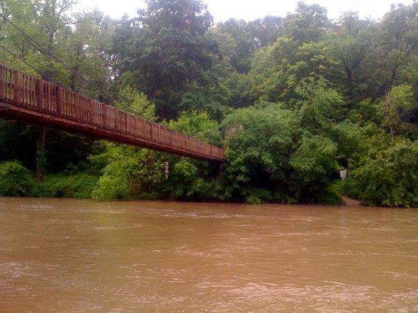 The Suspension Bridge