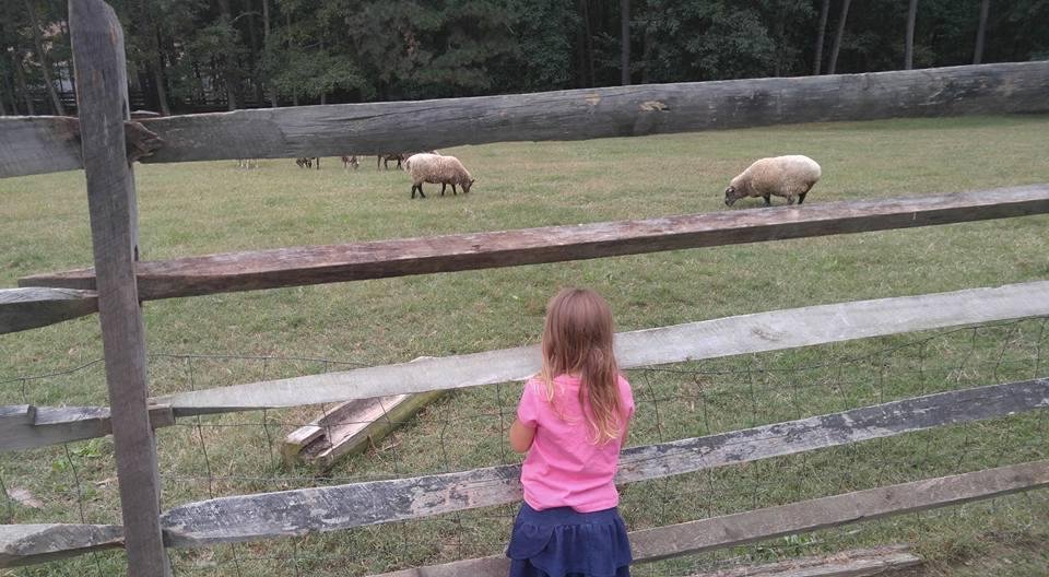 With #1 granddaughter at meadow farm. M