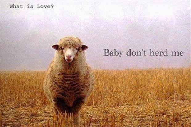 Shannon Looper's album, Timeline Photos