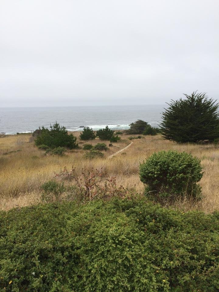 Off Highway 1 outside Fort Bragg.