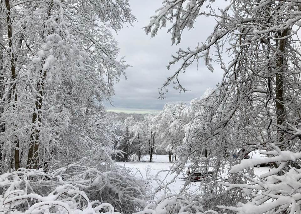 This is what it looked like, out did my house on Thursday morning. We had 8 inches of snow. Because, it was a wet snow it stuck to the trees. We lost four small trees and a bunch of big branches.