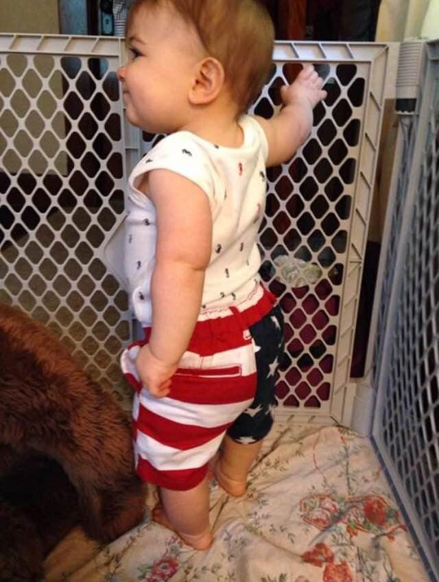 Joyce Curtis' album, Timeline Photos