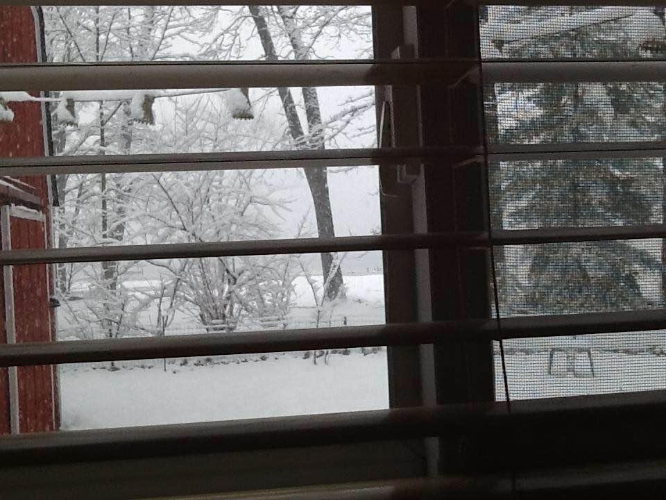 Barb Workman's album, Timeline Photos