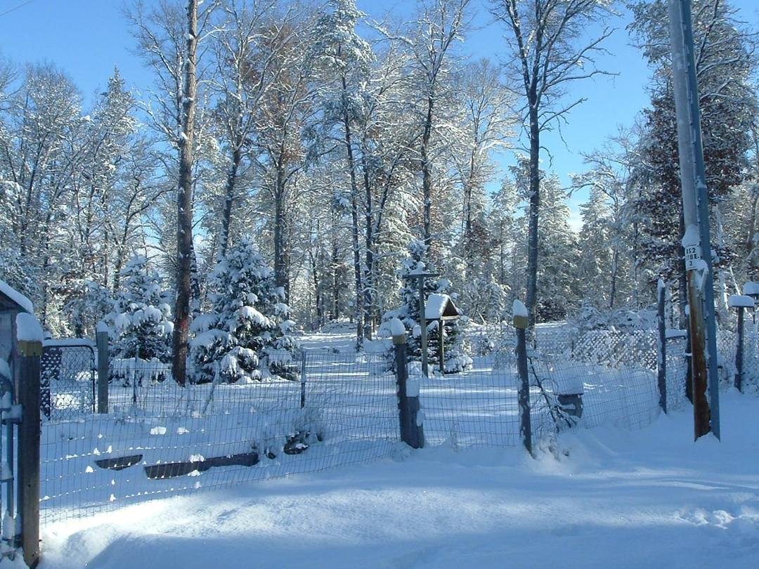 thomas rivard's album, Timeline Photos