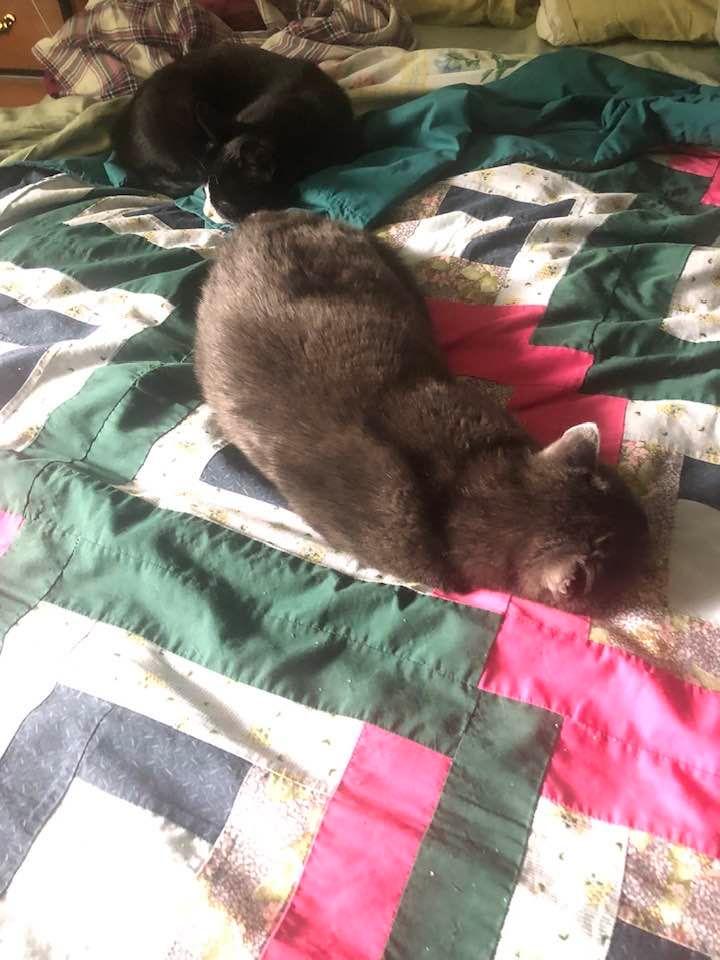 Looks like they’ve settled in.