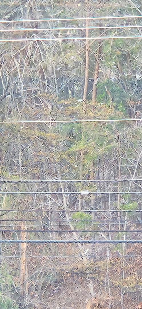 May be hard to see. I have a new definition of " brain freeze ". 22 degrees, 40 mph wind, and a snow flake the size of a quarter going straight into your ear. Asheville