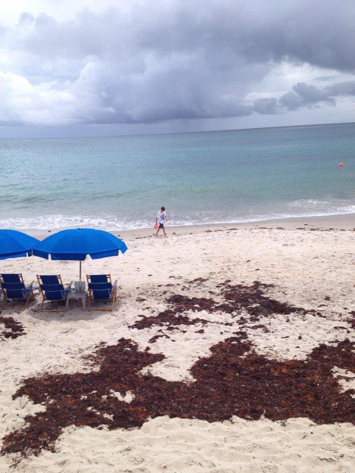 Tracee Mincey. We were at vero beach. Back of historic beach resort. Only 30feet from Atlantic. Very charming  lots of character. Luv mom