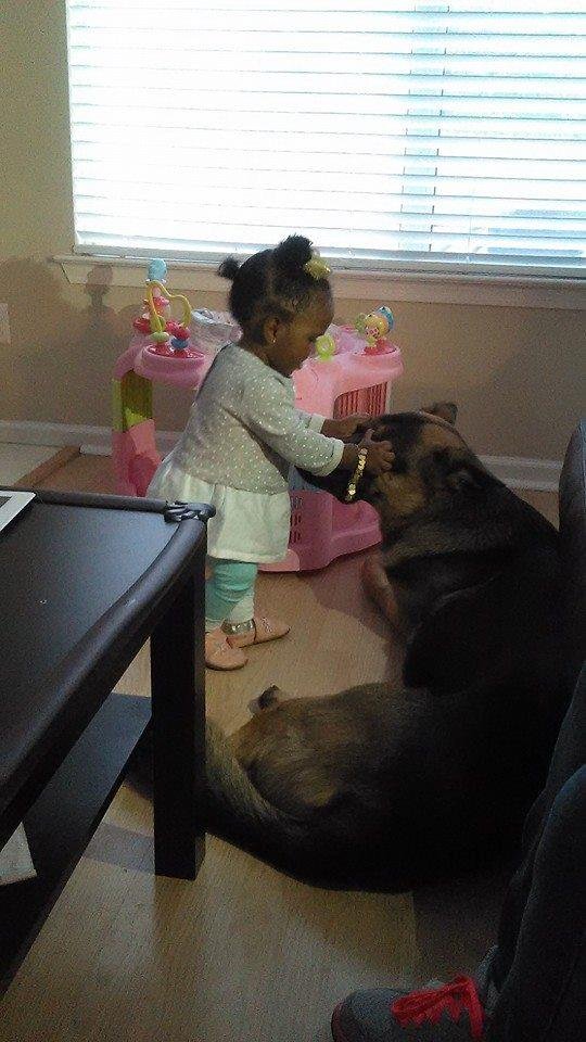 Didn't I tell you to sit down