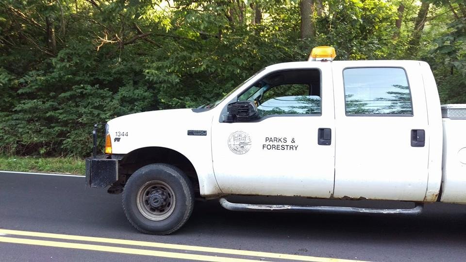 One of my trucks had the mirror schwacked off of it yesterday during the reach mow operation. A van went left of center and hit the truck, then fled the scene. No respect for the people trying to make their commute safer