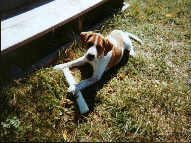 Michael Cole's album, Timeline Photos
