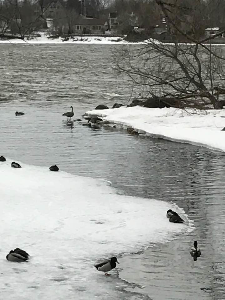 Sur les rives de la rivière des-Milles-Îles