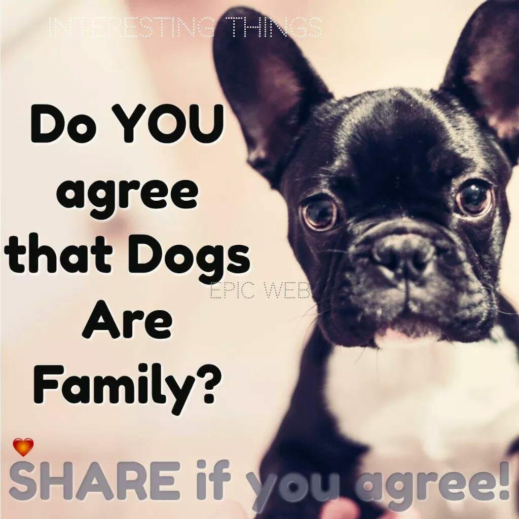 John Durning's album, Timeline Photos