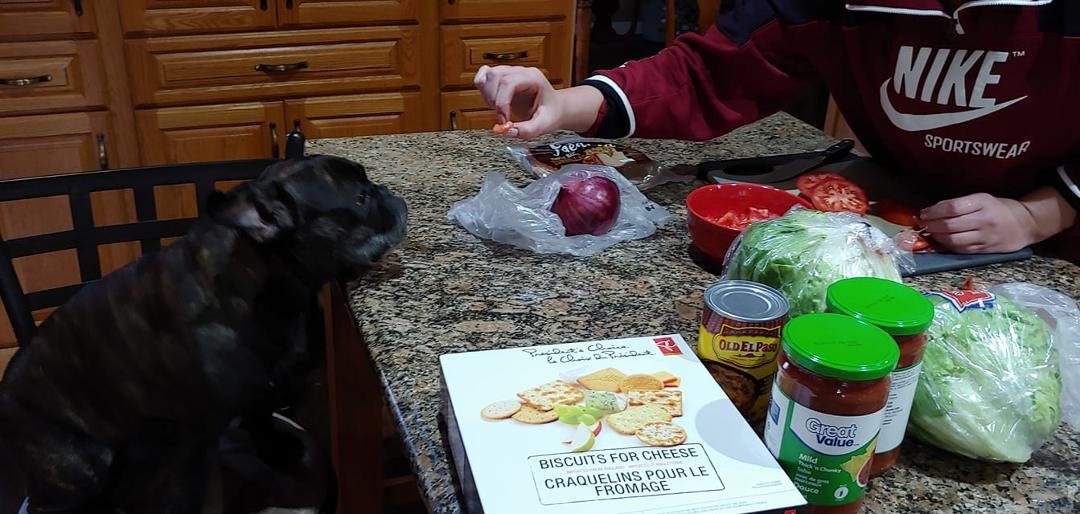 Marvin helping to make Taco's.
