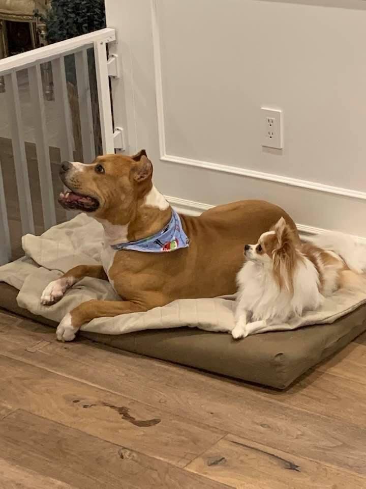 Indio and Lolo waiting for Victoria to come downstairs.