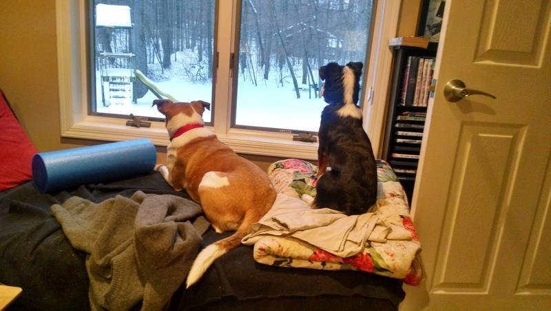 Maddie and her new little brother birdwatching!