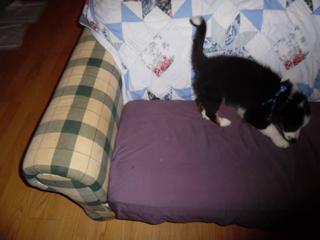 William D Modlin Jr's album, Samsung Smart Camera