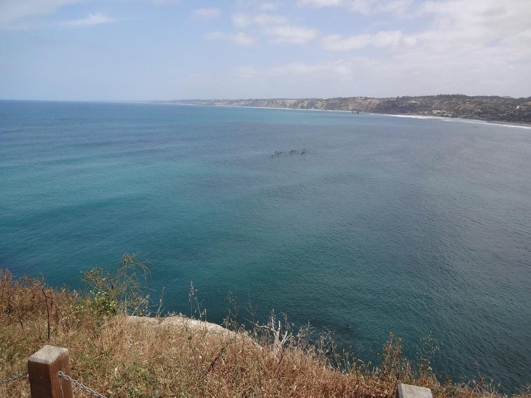 Michael Mueller's album, San Diego Trip