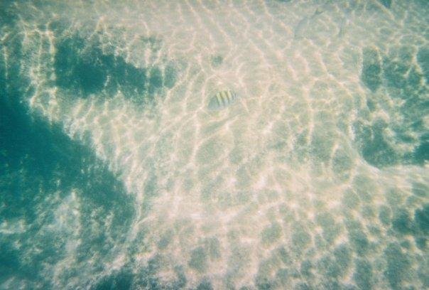 Susan Holloter's album, Vacation 08/2008