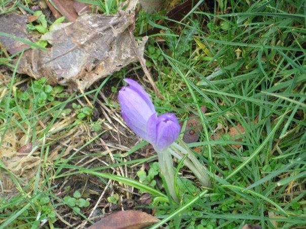 Daniel Eaglestone's album, Timeline Photos