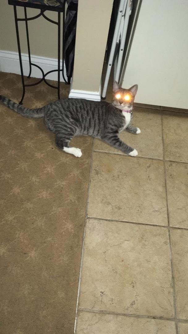 Someone call an exorcist