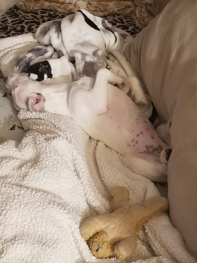 ROXY'S chill photo of the day! Sorry about the white on white.