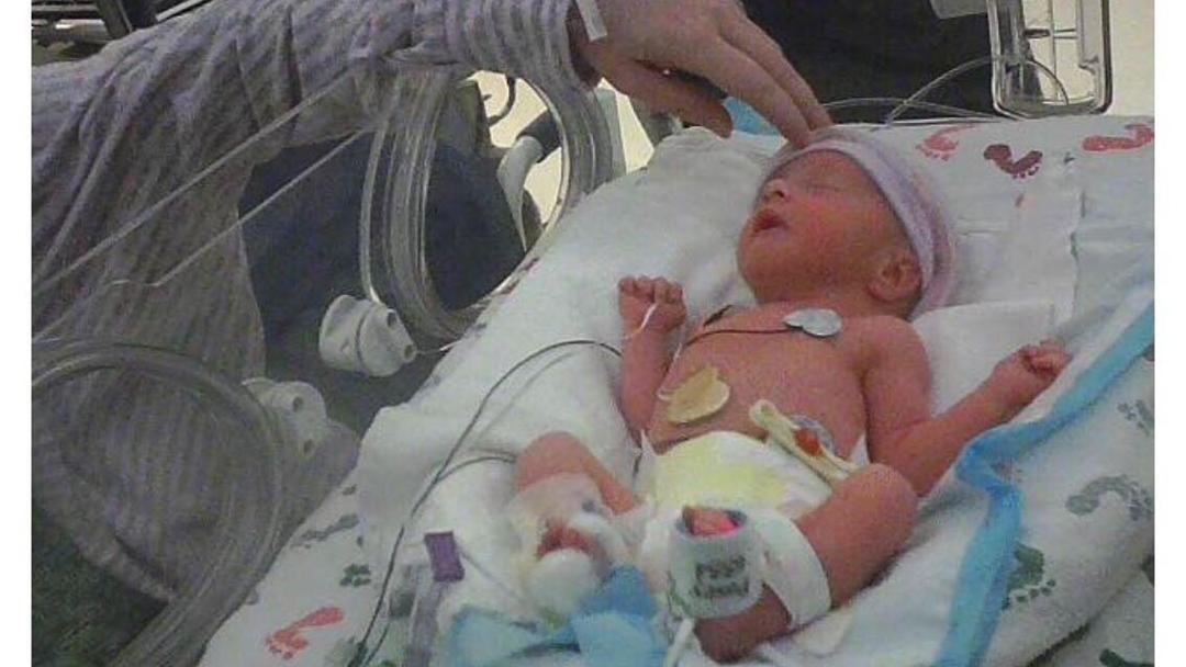 Meet my Great grandson Marty!! Line up. ladies!!!