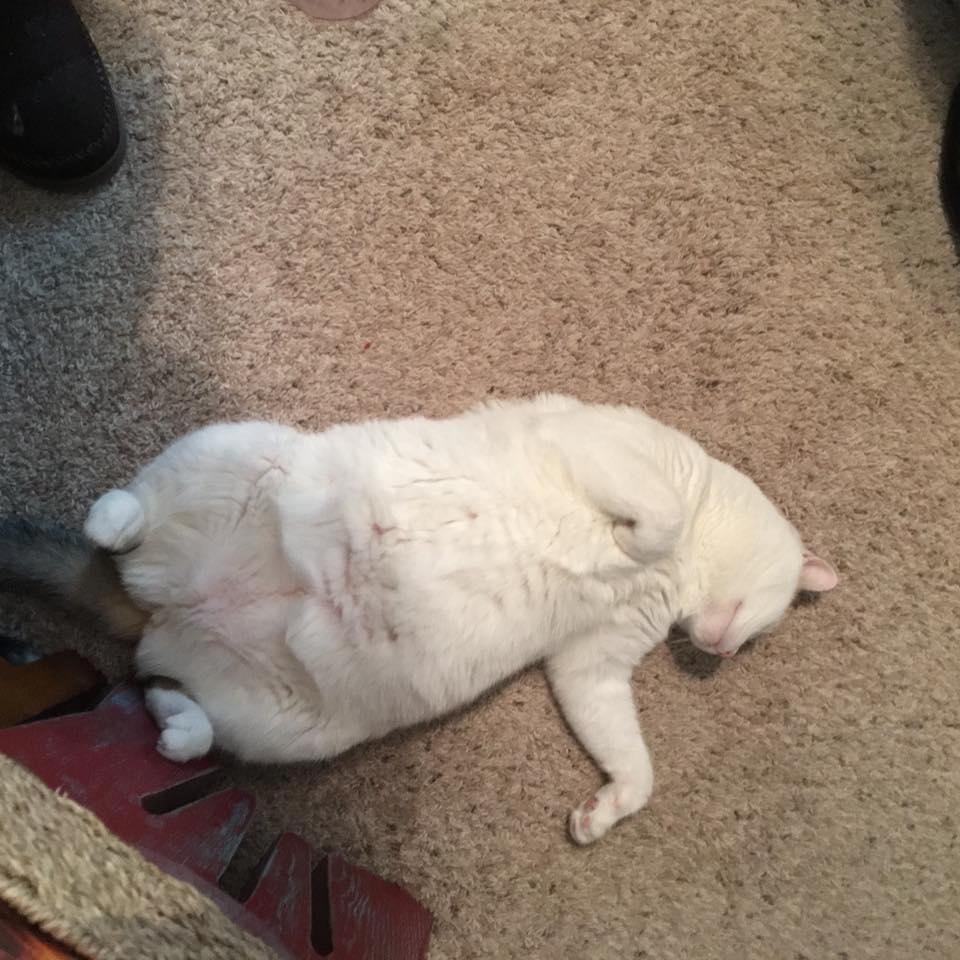 One of my sweethearts.