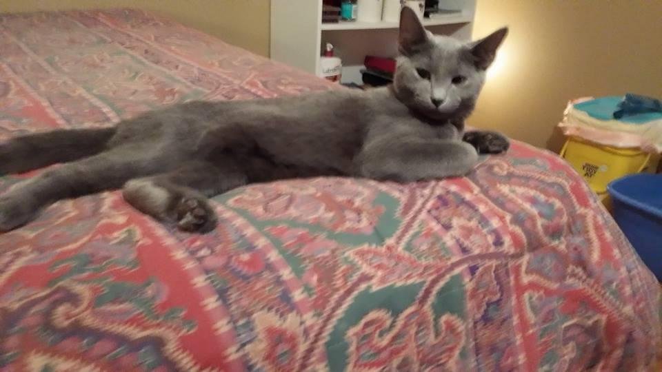 He's my baby boy