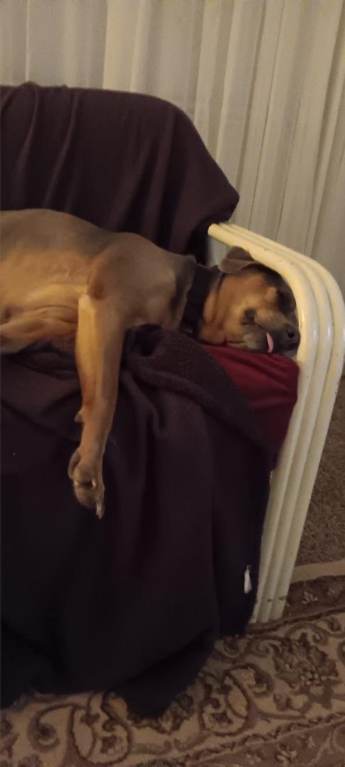 Out like a light