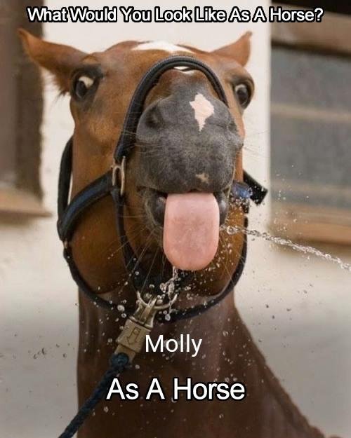 Molly Sargent's album, Timeline photos
