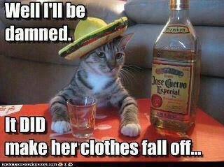 to add to the bar at pikes market. only Question whos dress fell off?????
