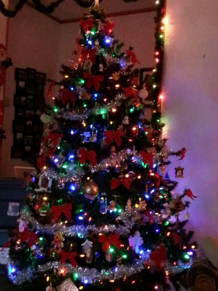 ANN Serna's album, Mobile Uploads