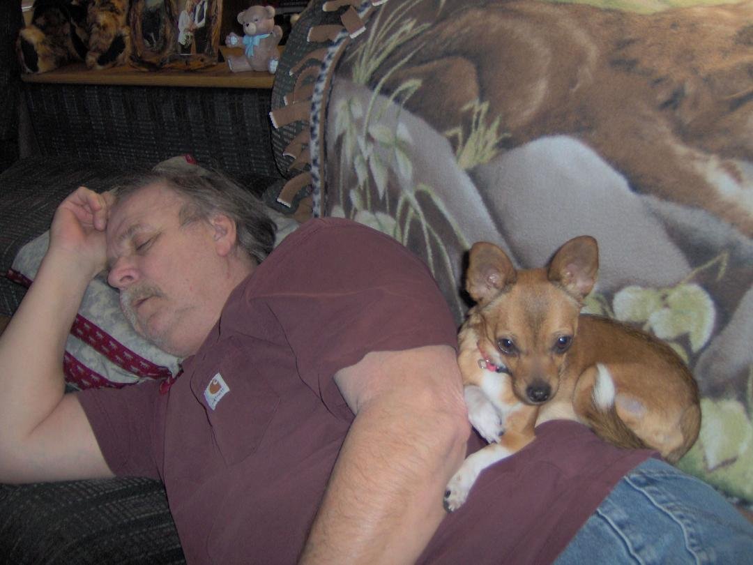 Nap time for Don & Taco