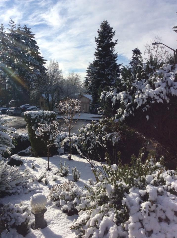 This was the view from our front door this morning.