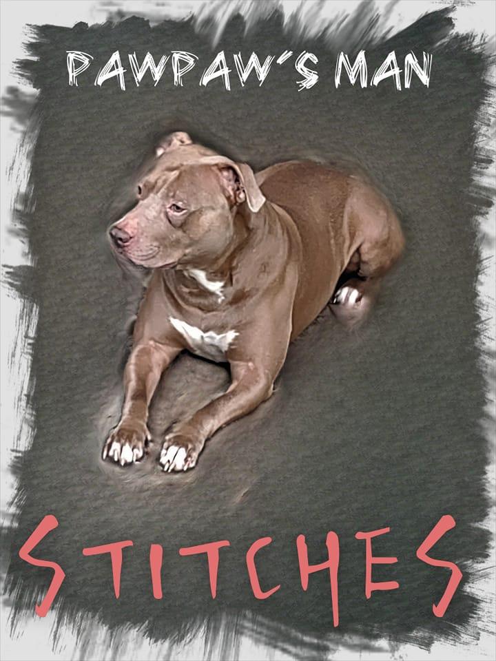 I love my Stitches...