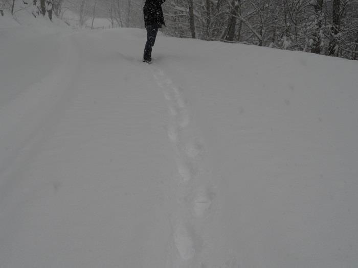 Jimmie Sowder's album, snow