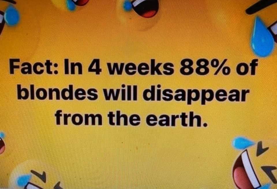 😂😂🤣😂😂🤣