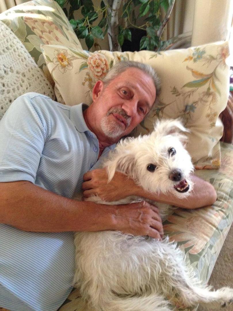 My new dog - Sandy