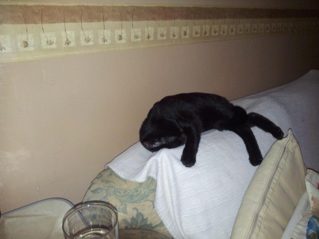 Spot after his first day outside