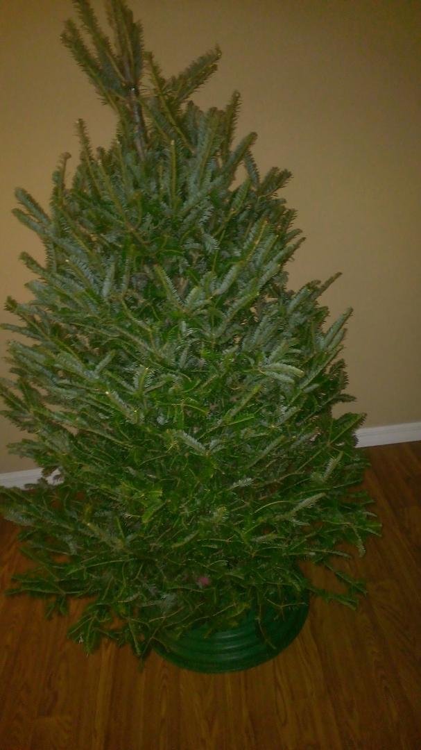 Charlie Brown Christmas tree