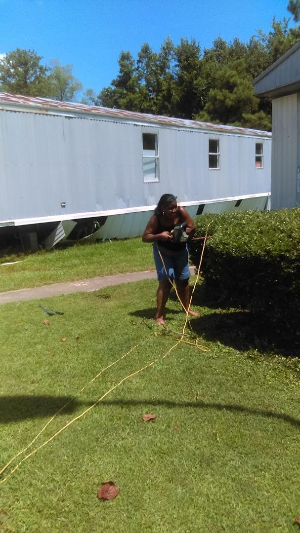 Cutting my Bushes
