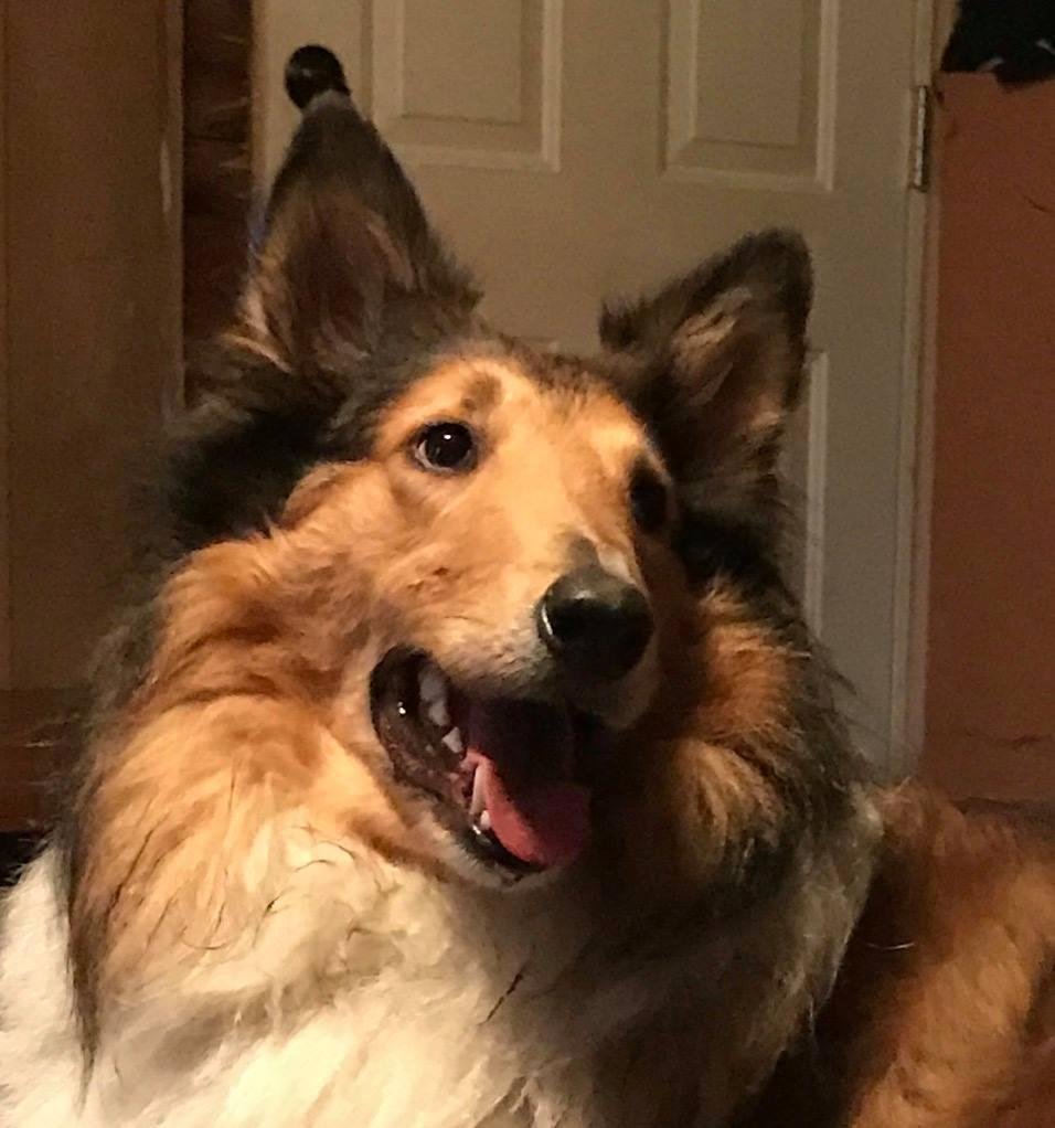 Tressa Wright Webb I Loves you with all my heart . I still thanks you for the best Valantines gift I could ever asked for . Thank You for Yoshie Bear .
