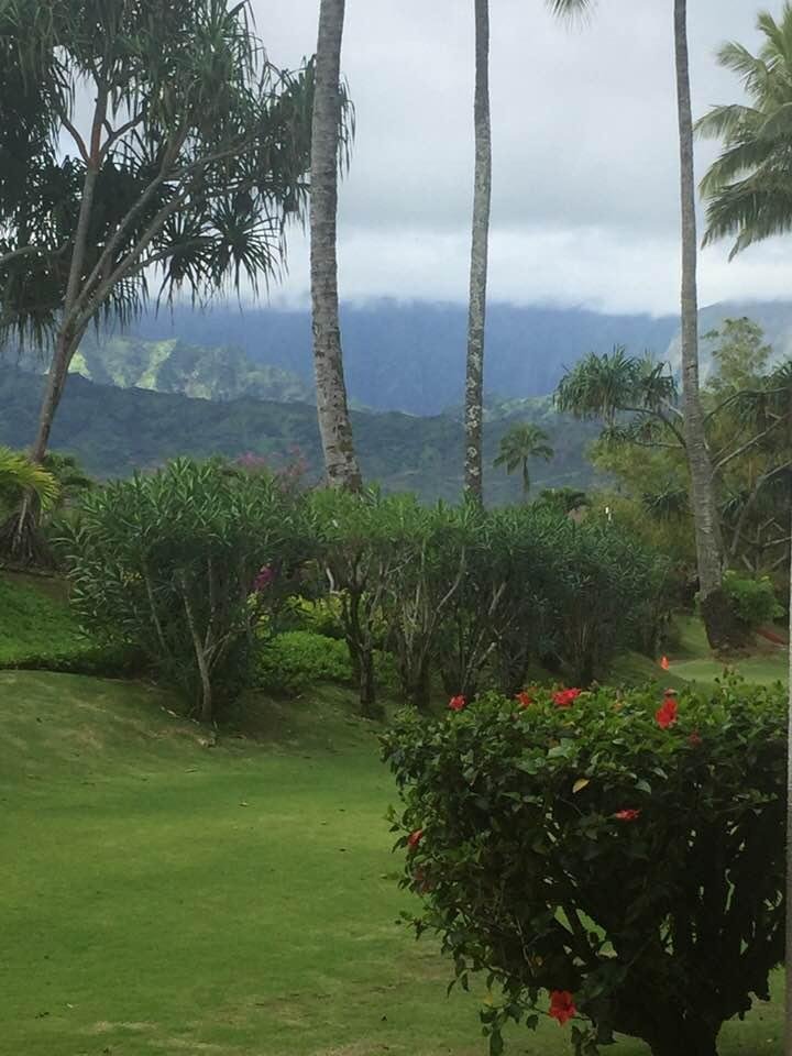 Trying hard to see the beauty-#said no one ever!  ❤️🌴🏄‍♀️